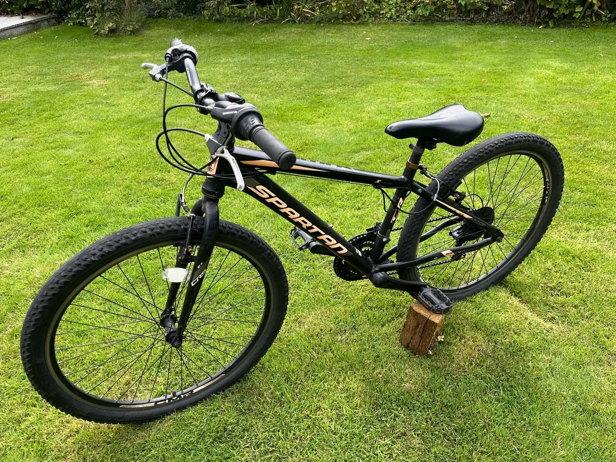 Kids bike - Image 4