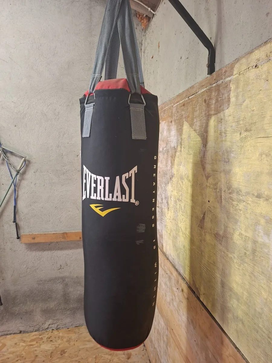 Punch bag
