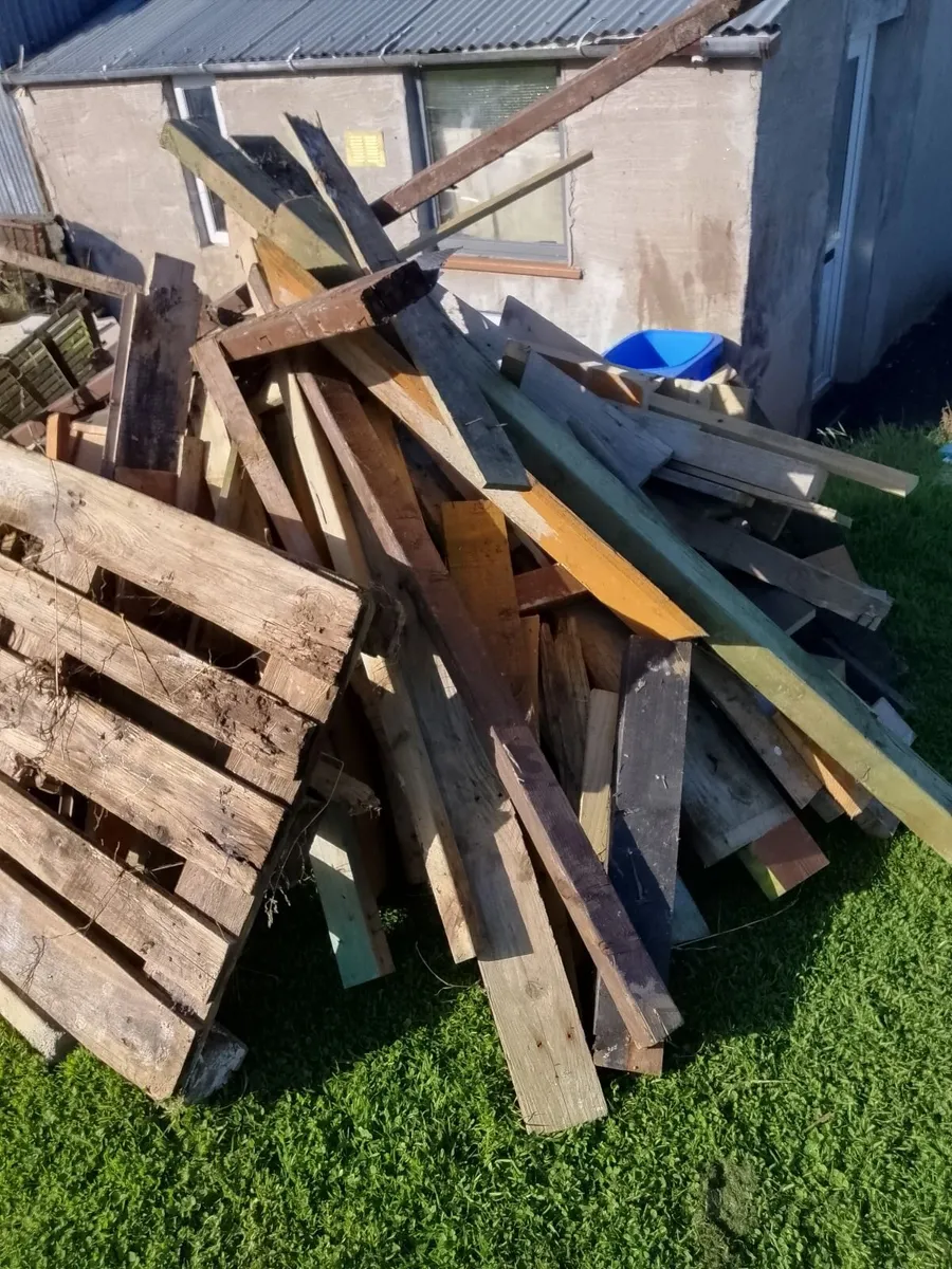 Firewood free - Image 2