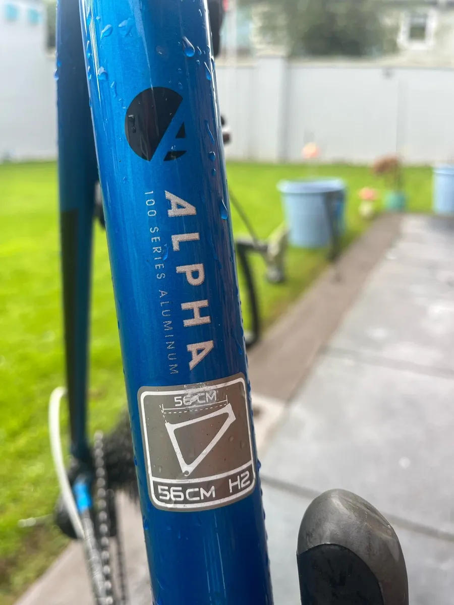 Bike - Image 2