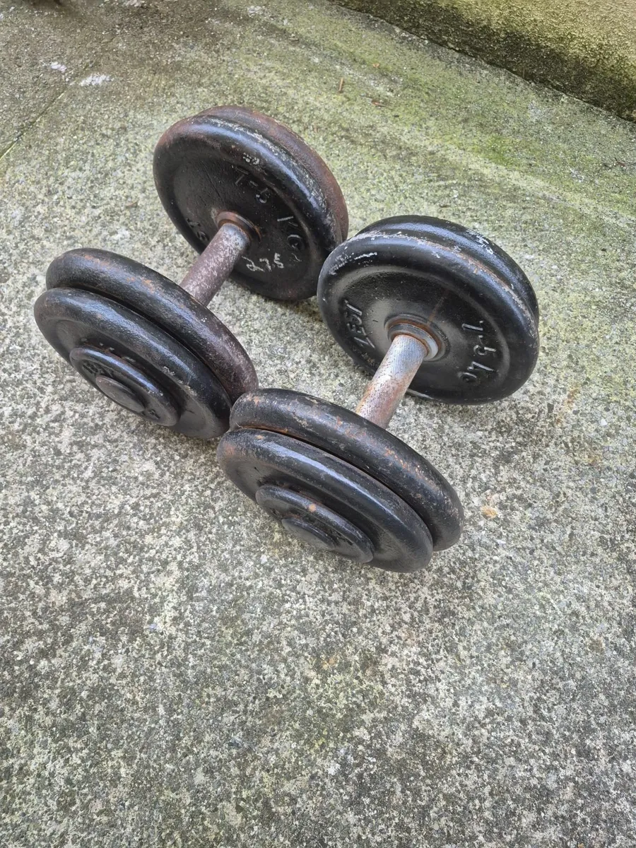 Dumbbells 2×27,5kg