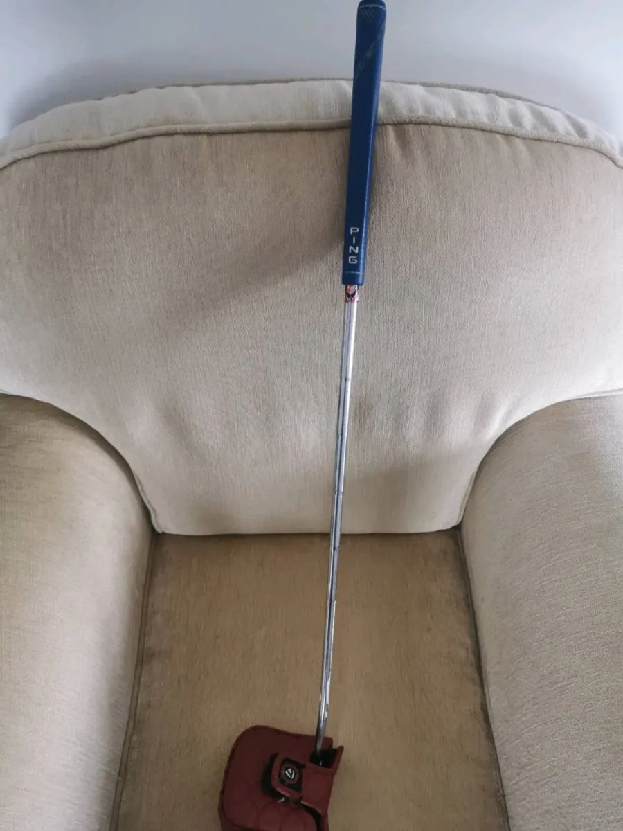 Taylormade Rossa putter spider - Image 1
