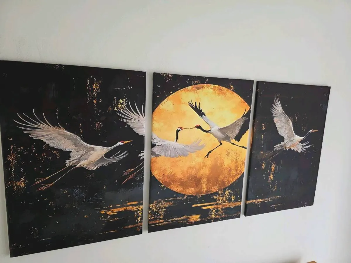 3 framed printed canvas 45x65cm - Image 2