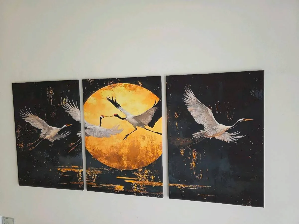 3 framed printed canvas 45x65cm - Image 3