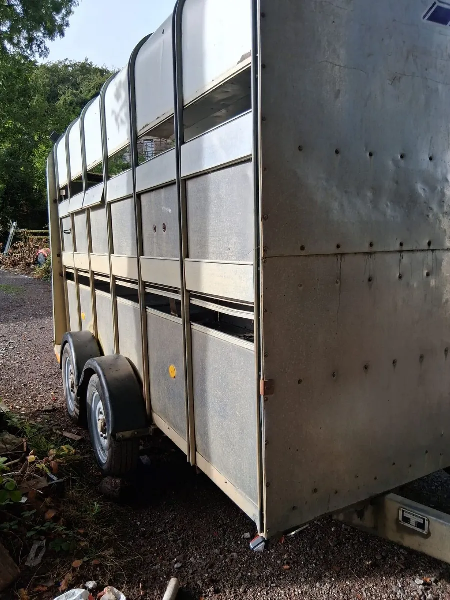 Ifor Williams Trailer - Image 1