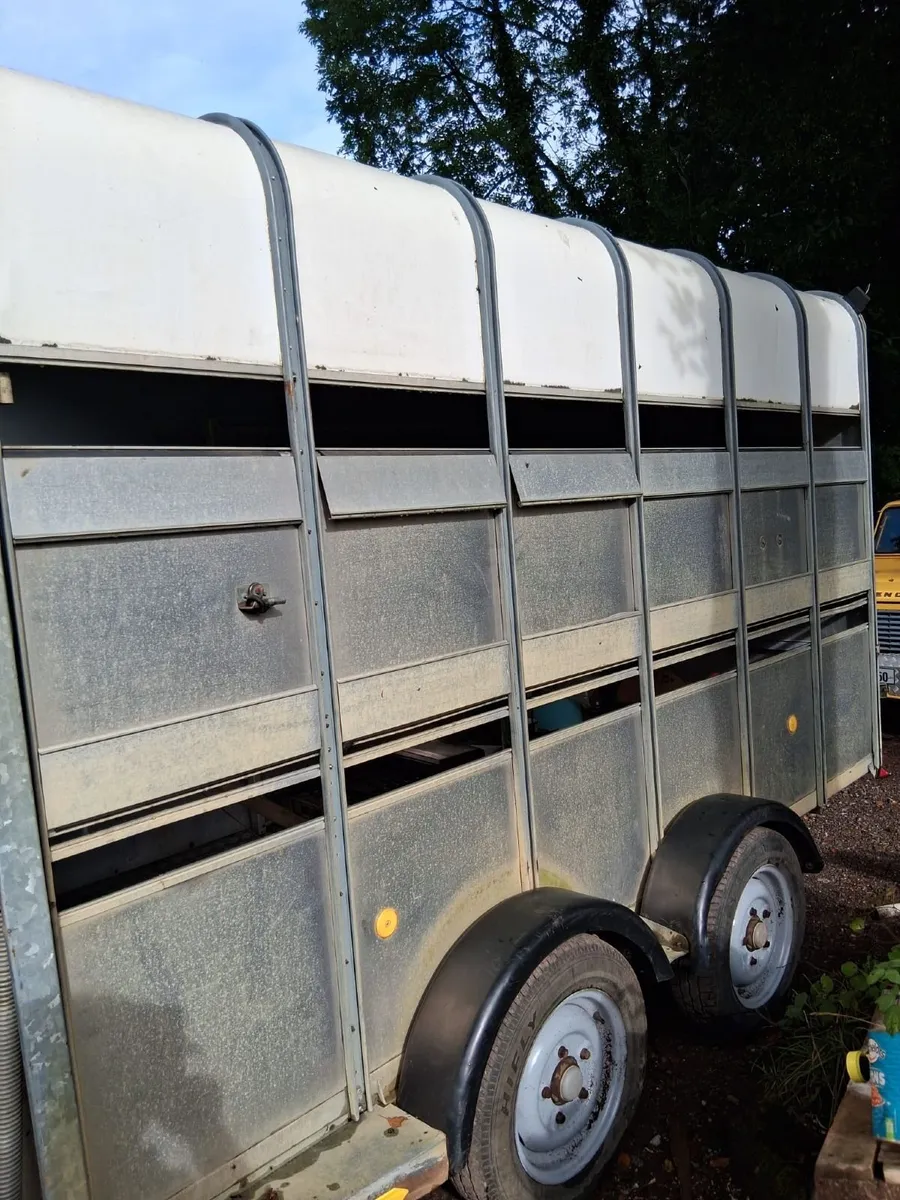 Ifor Williams Trailer - Image 2