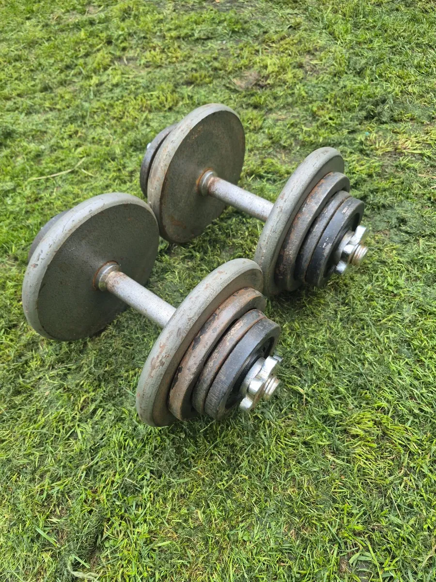 Dumbbells 2×20kg