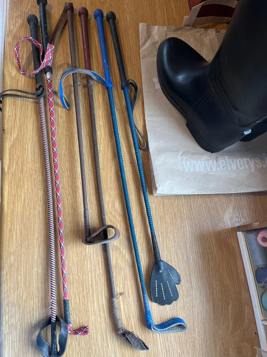 6 Horse riding sticks