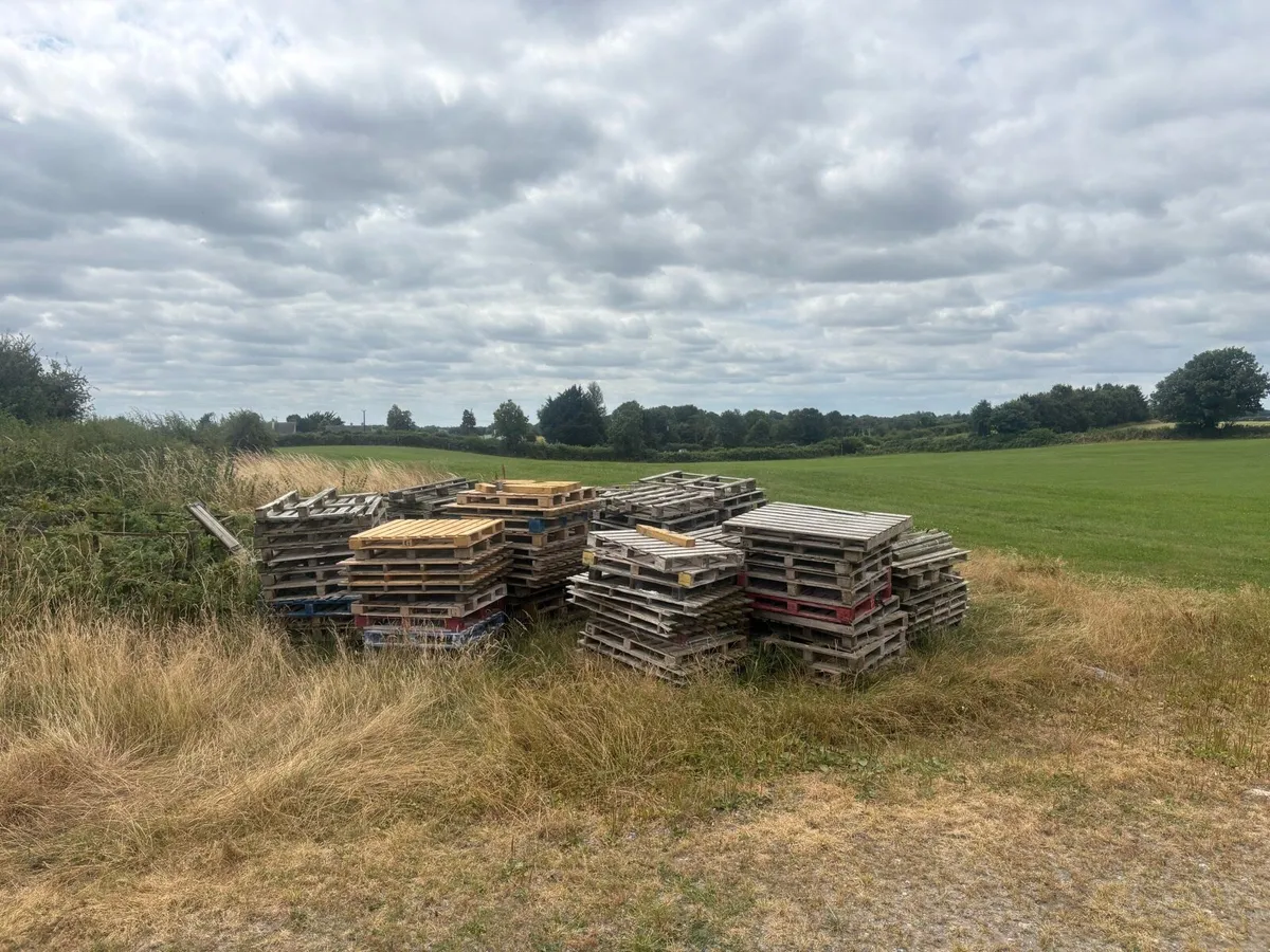 Pallets free to take away - Image 1