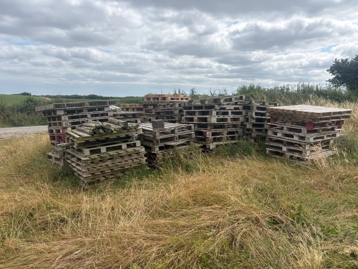 Pallets free to take away - Image 3