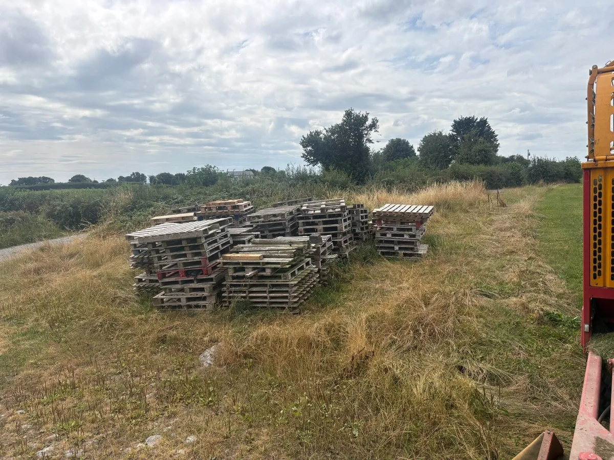 Pallets free to take away - Image 2