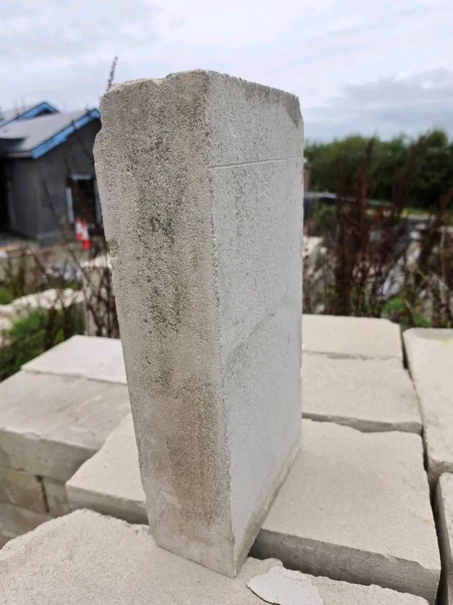 Mannok Aircrete Blocks - Image 2
