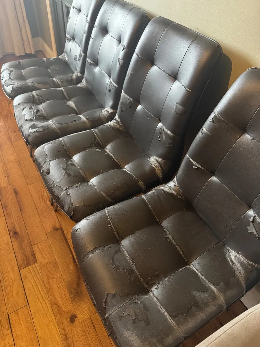 Dining chairs - Image 1