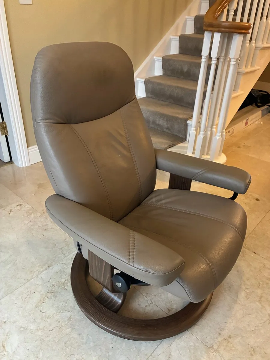 Reclining Chair - Image 1