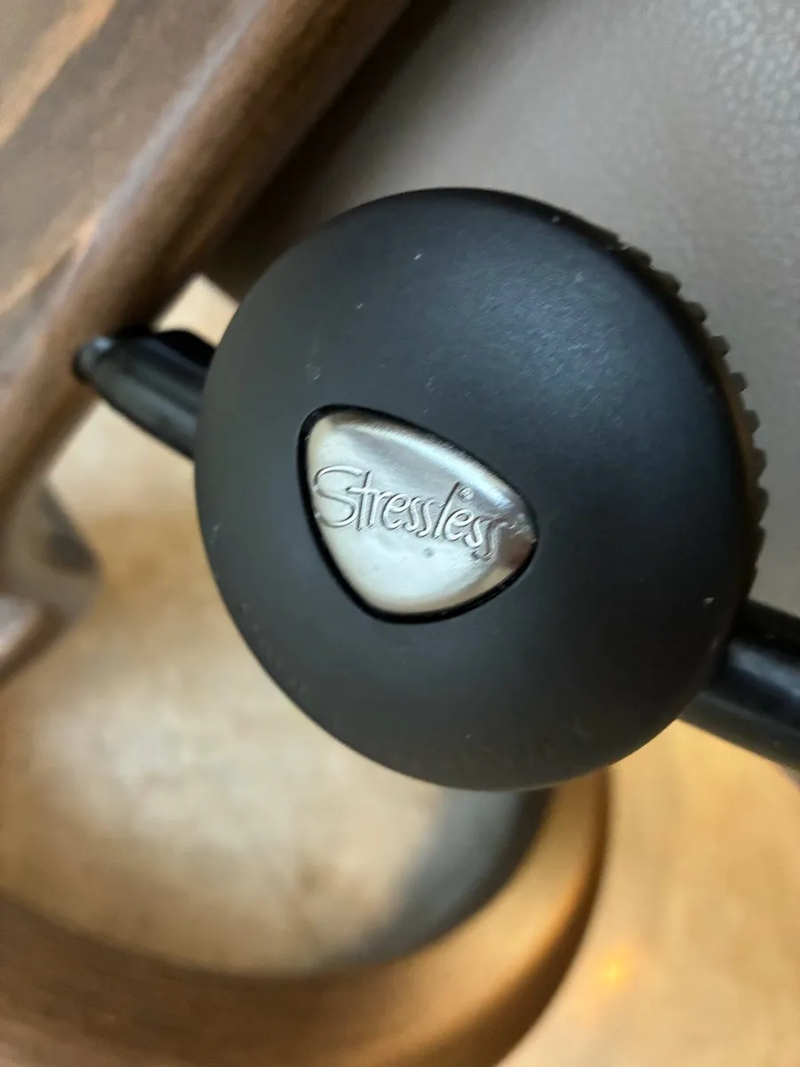 Reclining Chair - Image 3