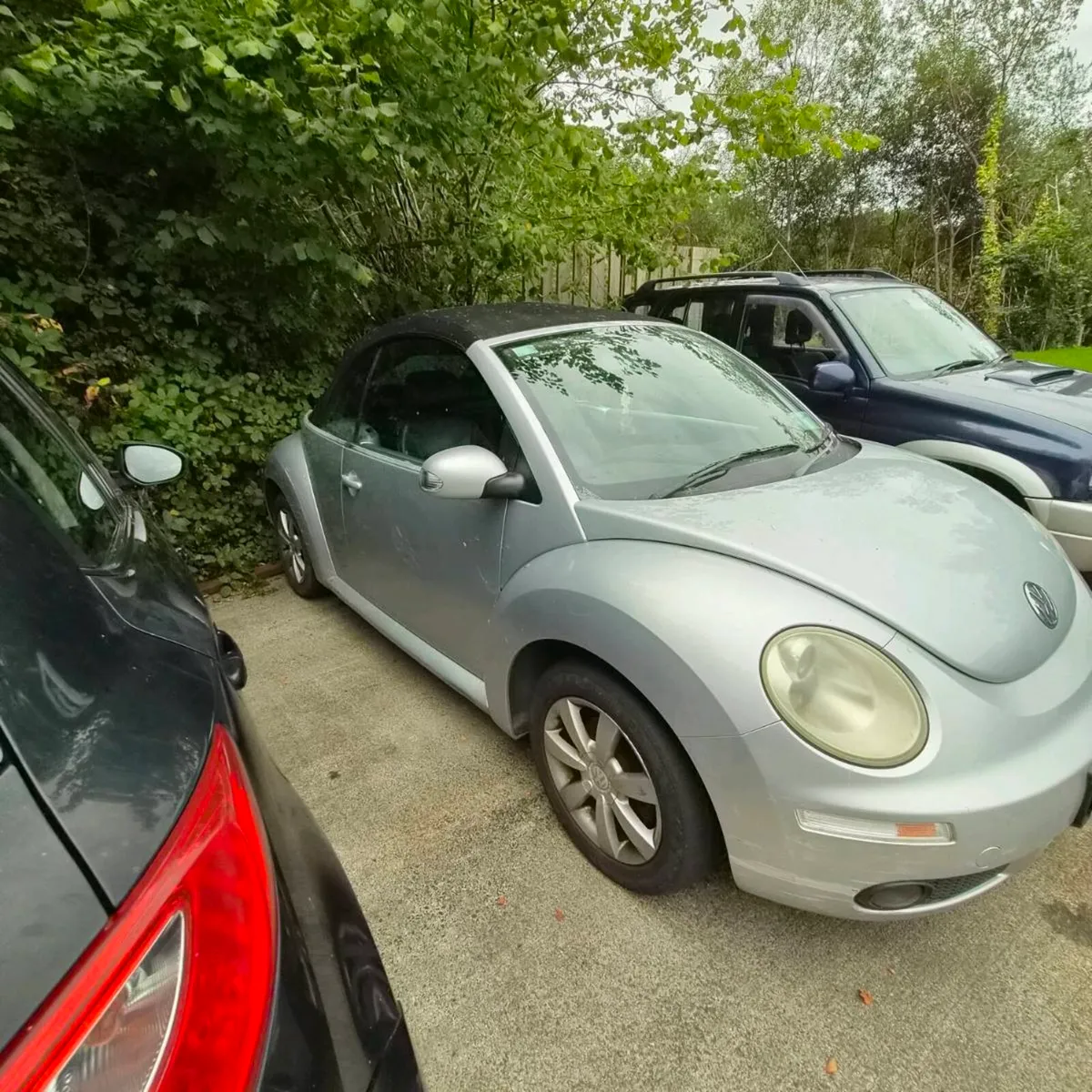 Vw beetle - Image 1