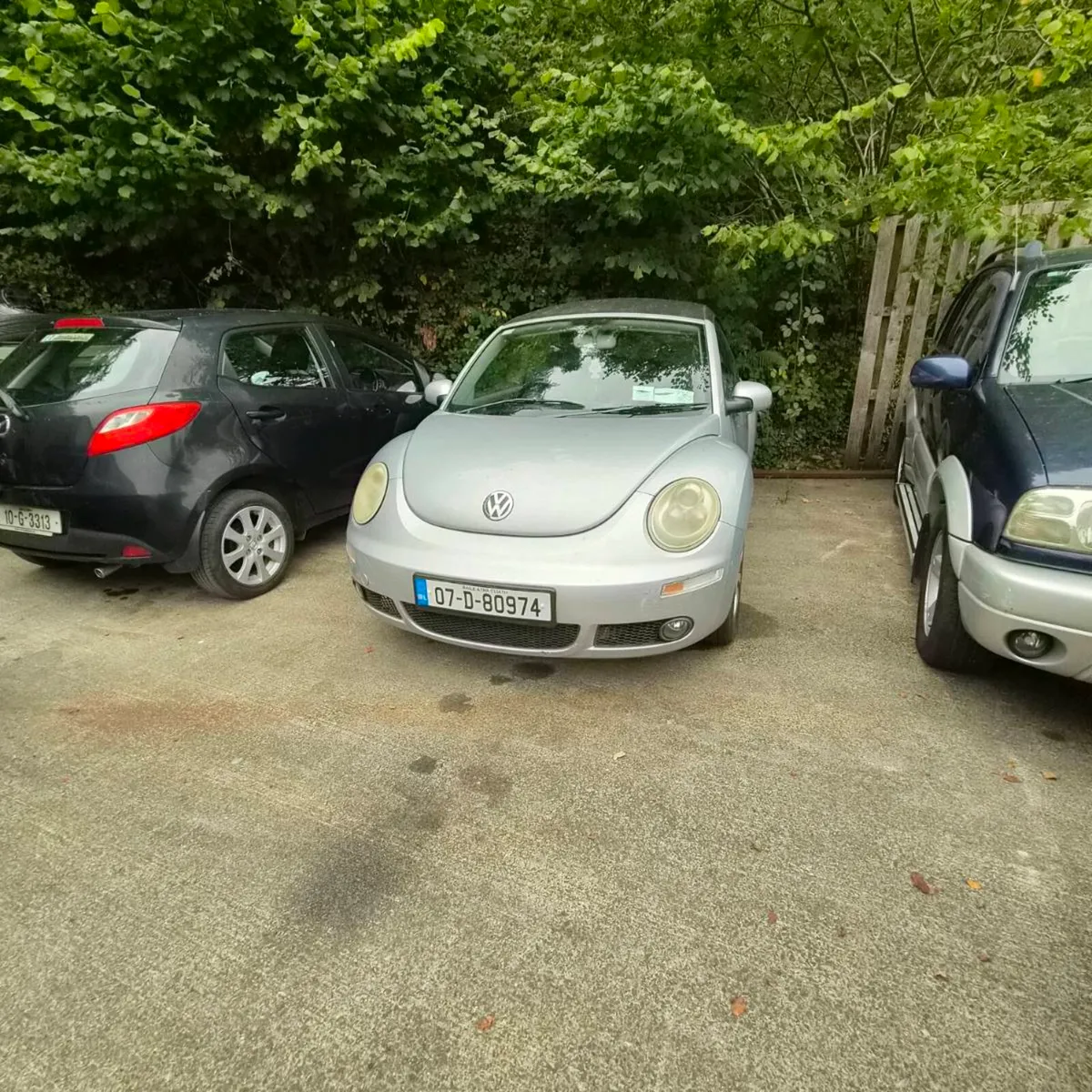 Vw beetle - Image 4