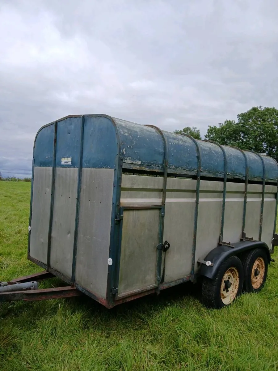 Crooks Cattle Trailer for Sale - Image 2