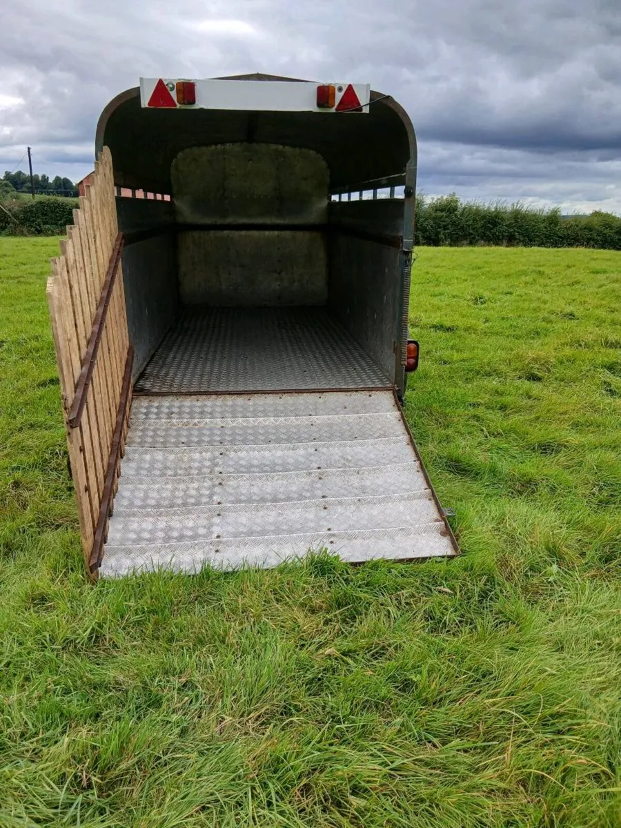 Crooks Cattle Trailer for Sale - Image 3