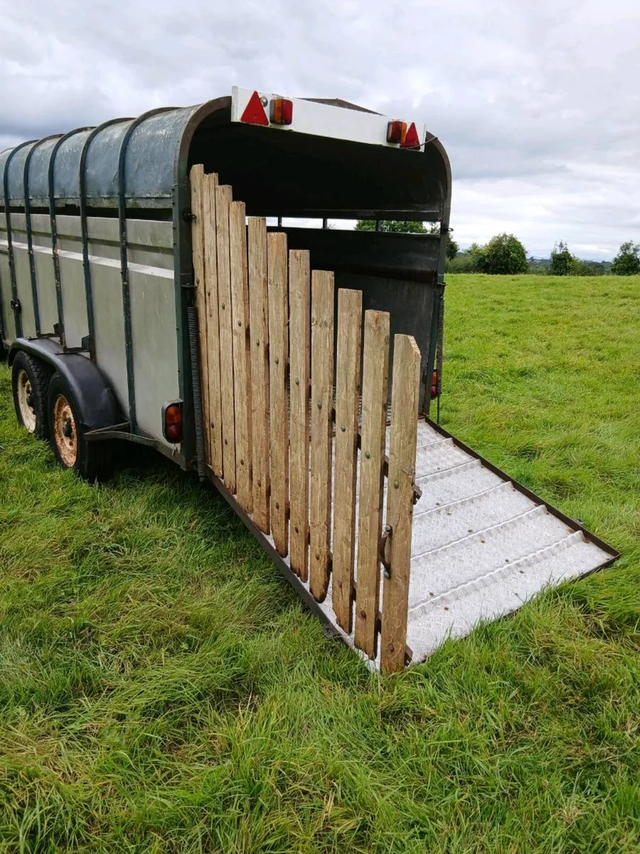 Crooks Cattle Trailer for Sale - Image 4