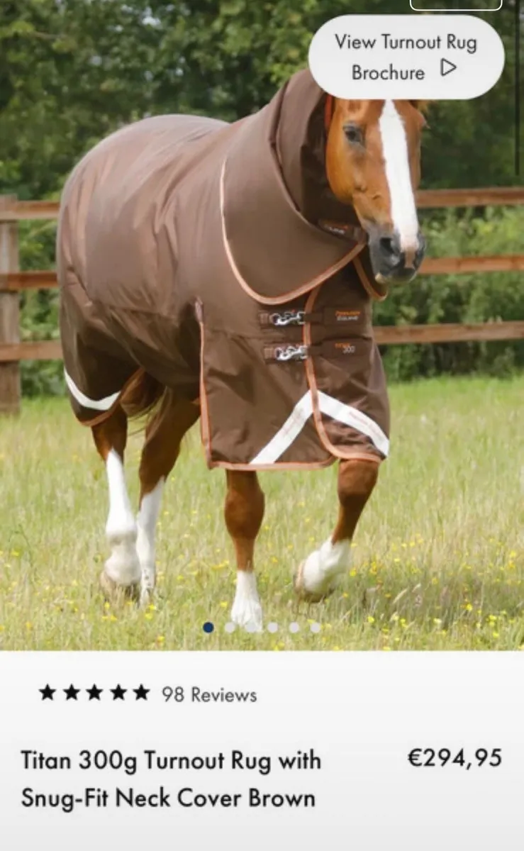 Premier Equine Horse Rug - Image 1