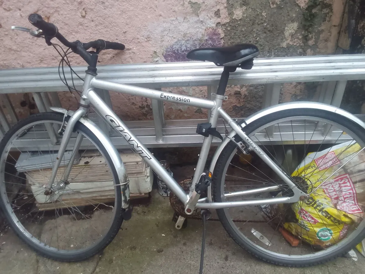 adult bike for sale - Image 1