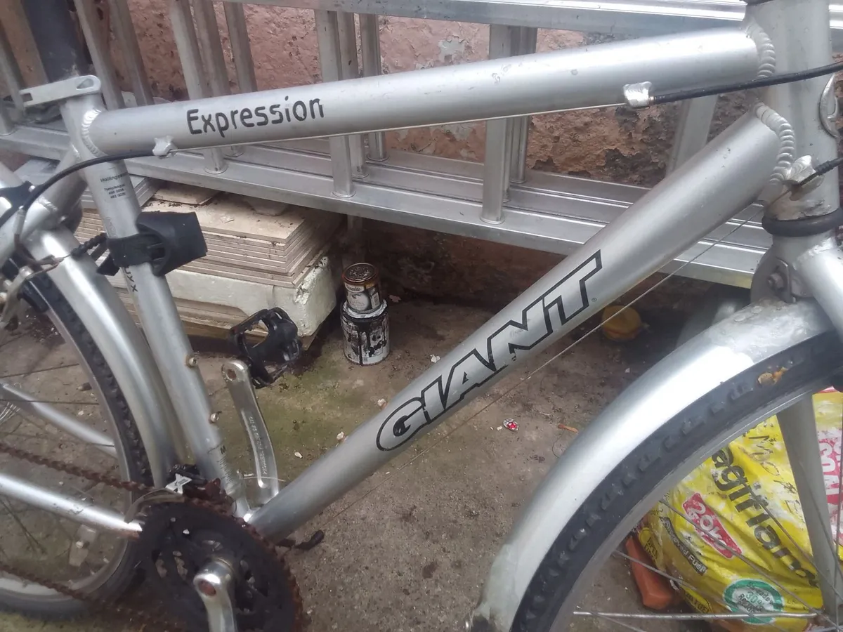 adult bike for sale - Image 2
