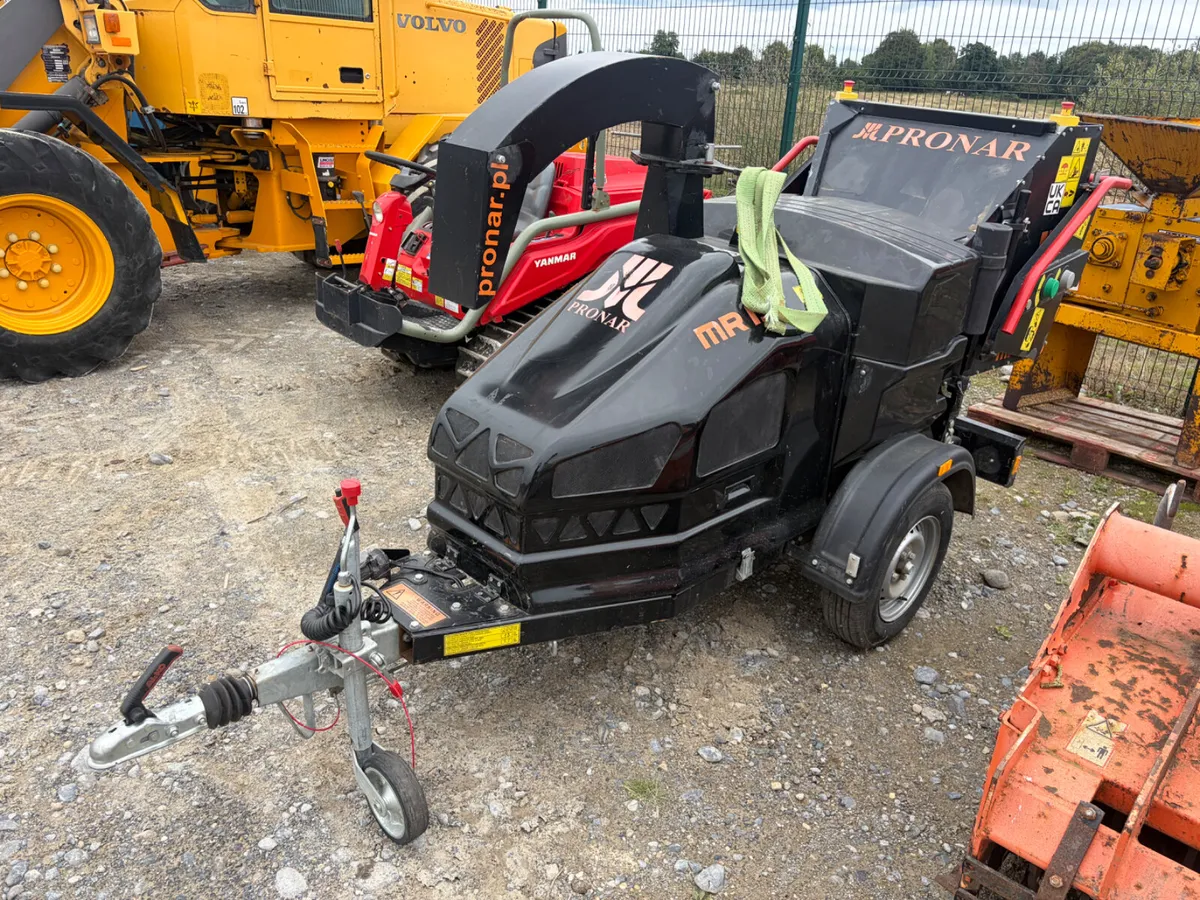 Portlaoise Auction Yard Full - Image 3