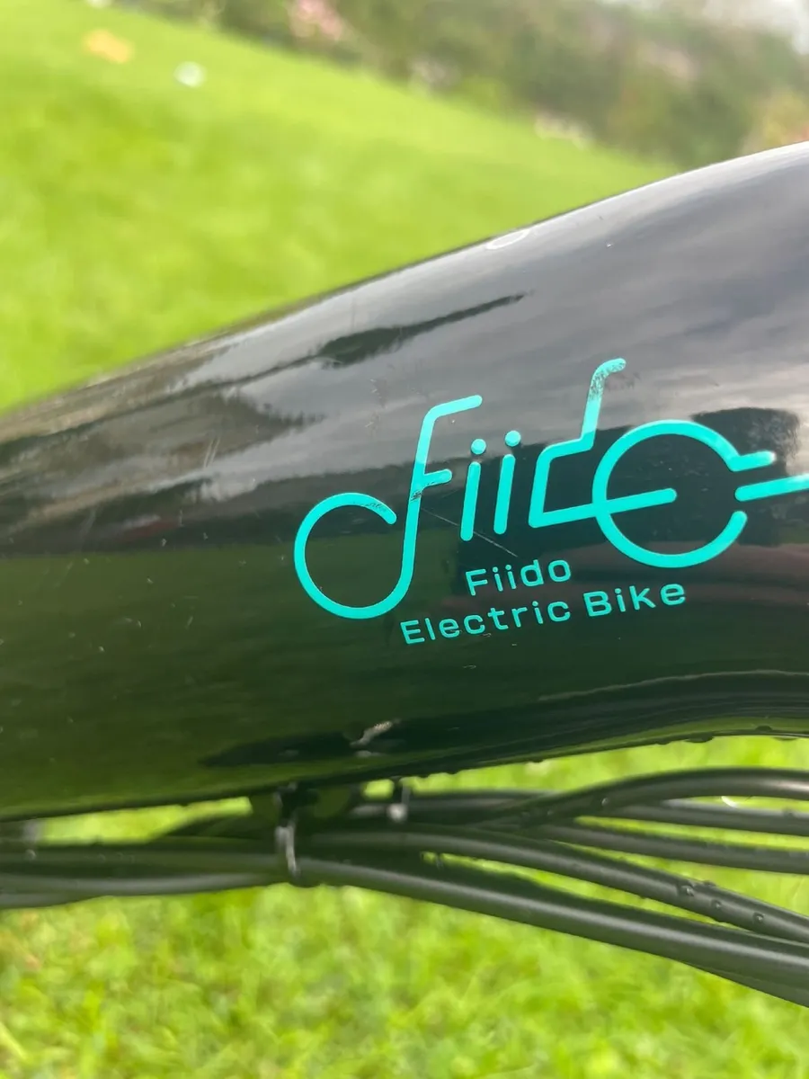 Fiido D3 Pro Electric Bike - Image 3