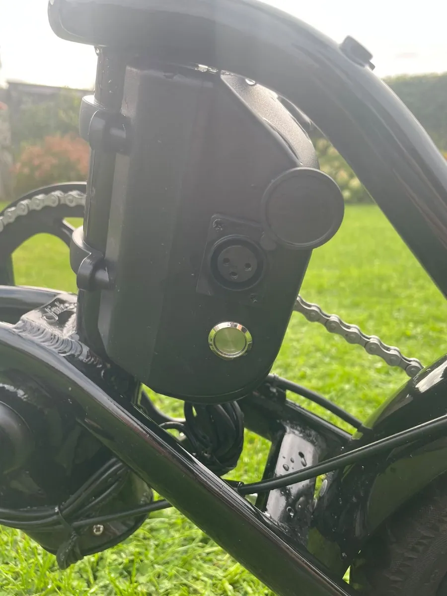 Fiido D3 Pro Electric Bike - Image 2