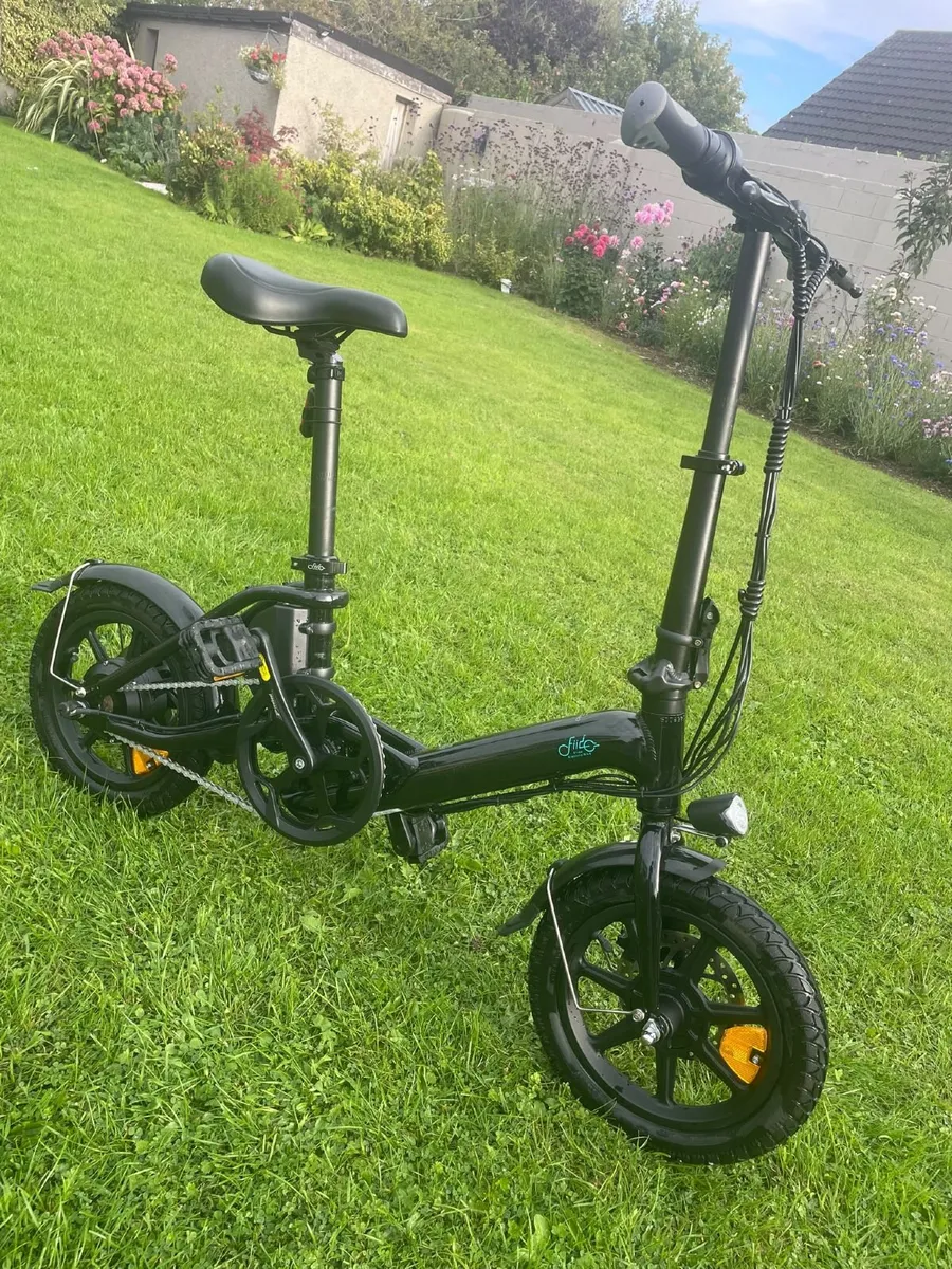 Fiido D3 Pro Electric Bike - Image 1