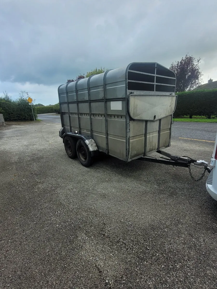 10x5 Murphy cattle trailer - Image 1