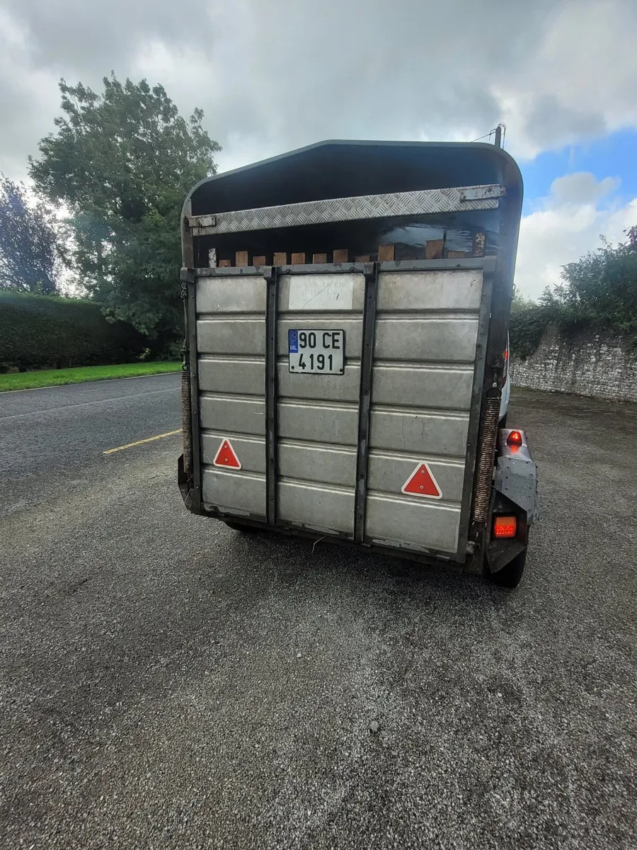 10x5 Murphy cattle trailer - Image 3
