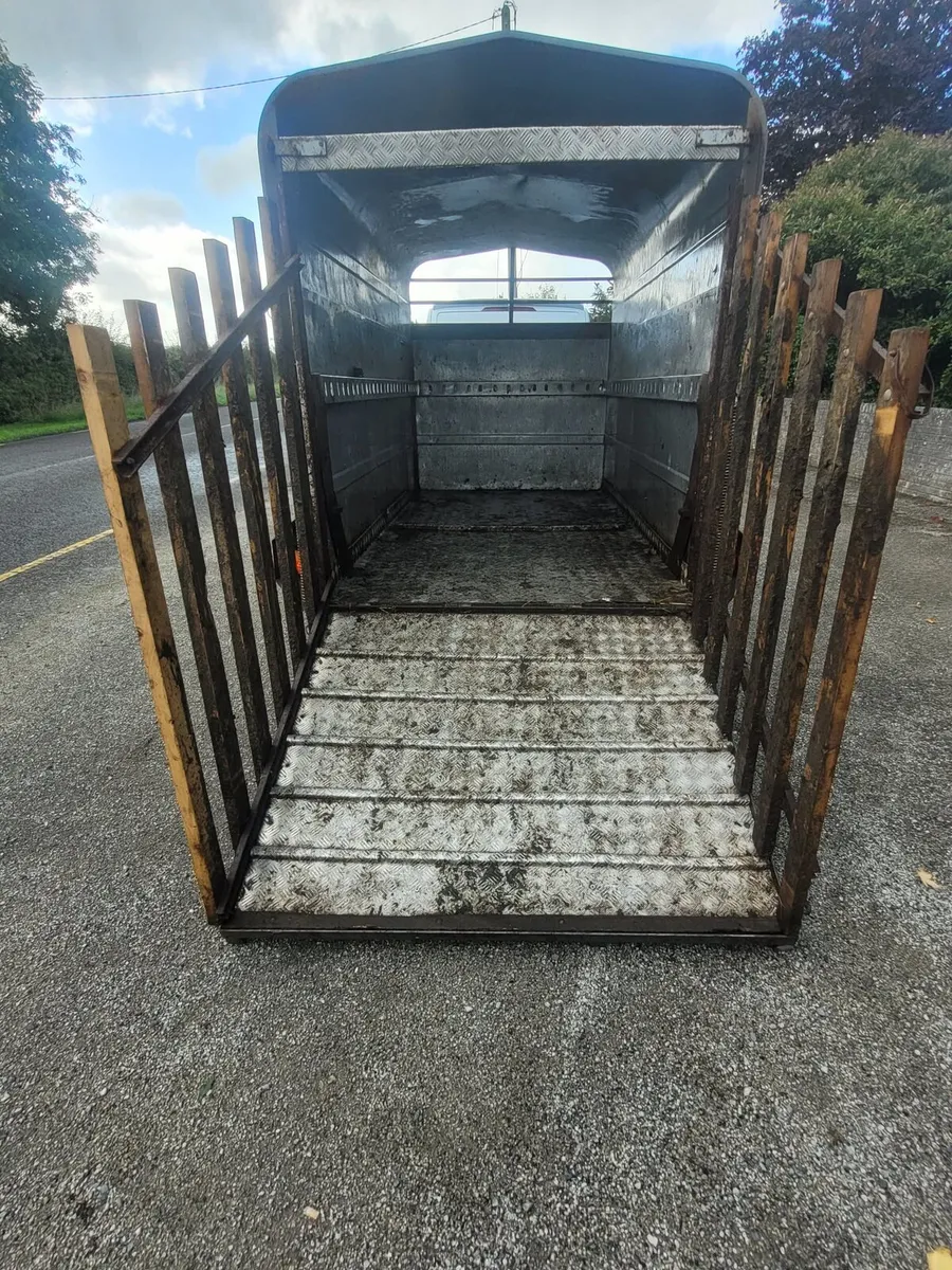 10x5 Murphy cattle trailer - Image 4