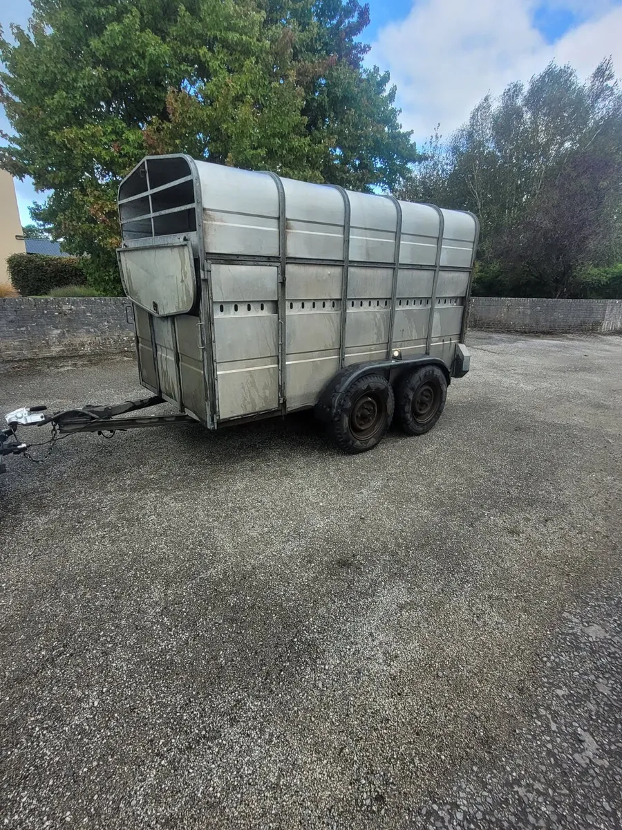 10x5 Murphy cattle trailer - Image 2