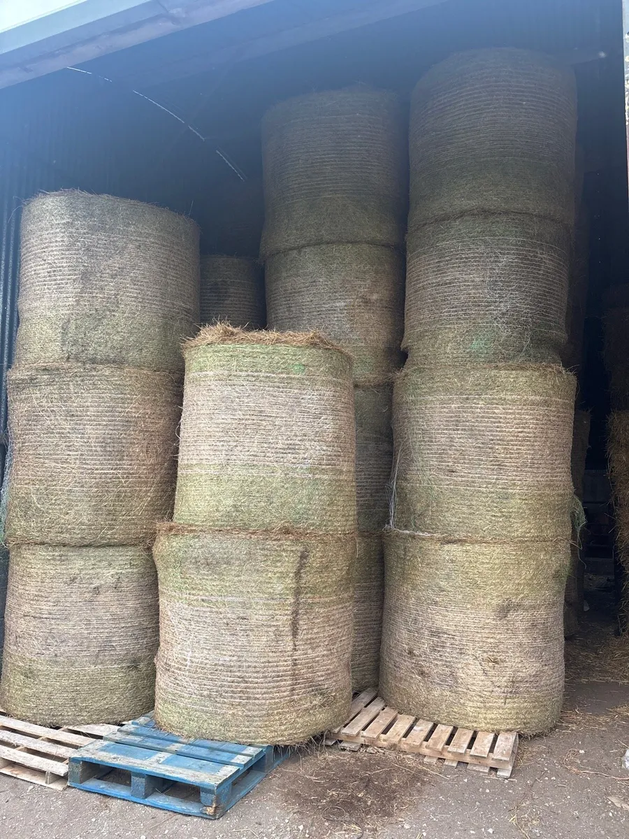 49 bales Bird cover hay