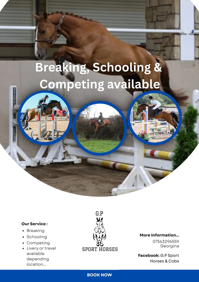 Breaking, schooling & Competiting Services - Image 1