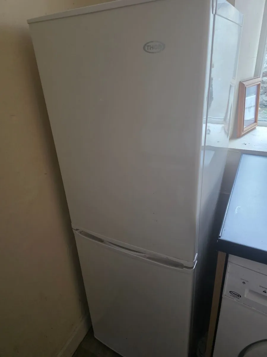 Fridgefreezer, washing machine , cooker - Image 1