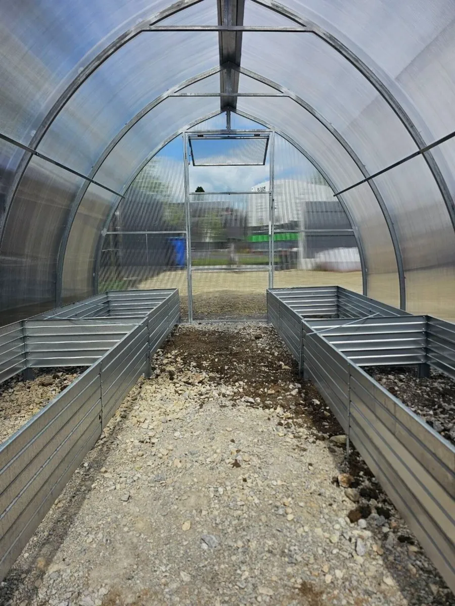 Meet the Arrow greenhouse - Image 3