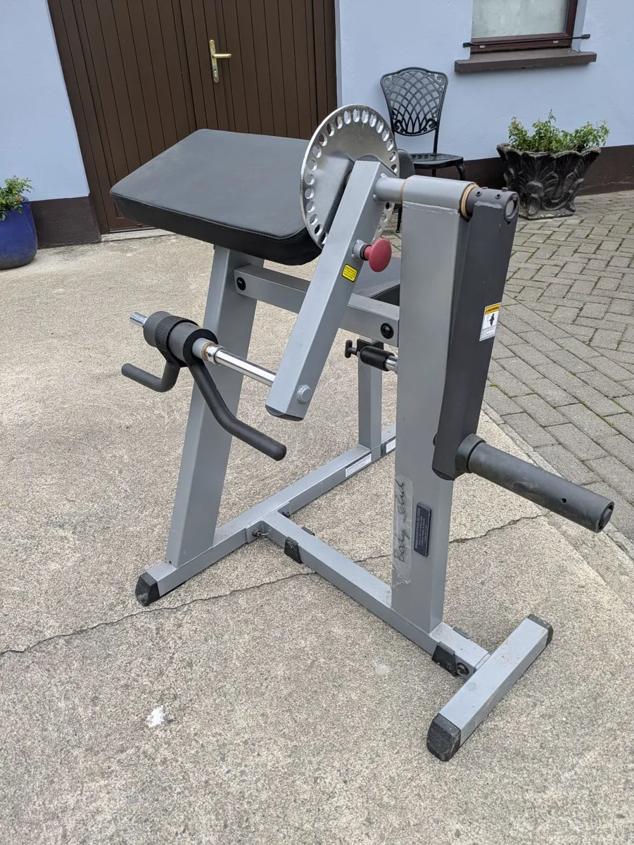 Bicep Tricep machine - Image 1