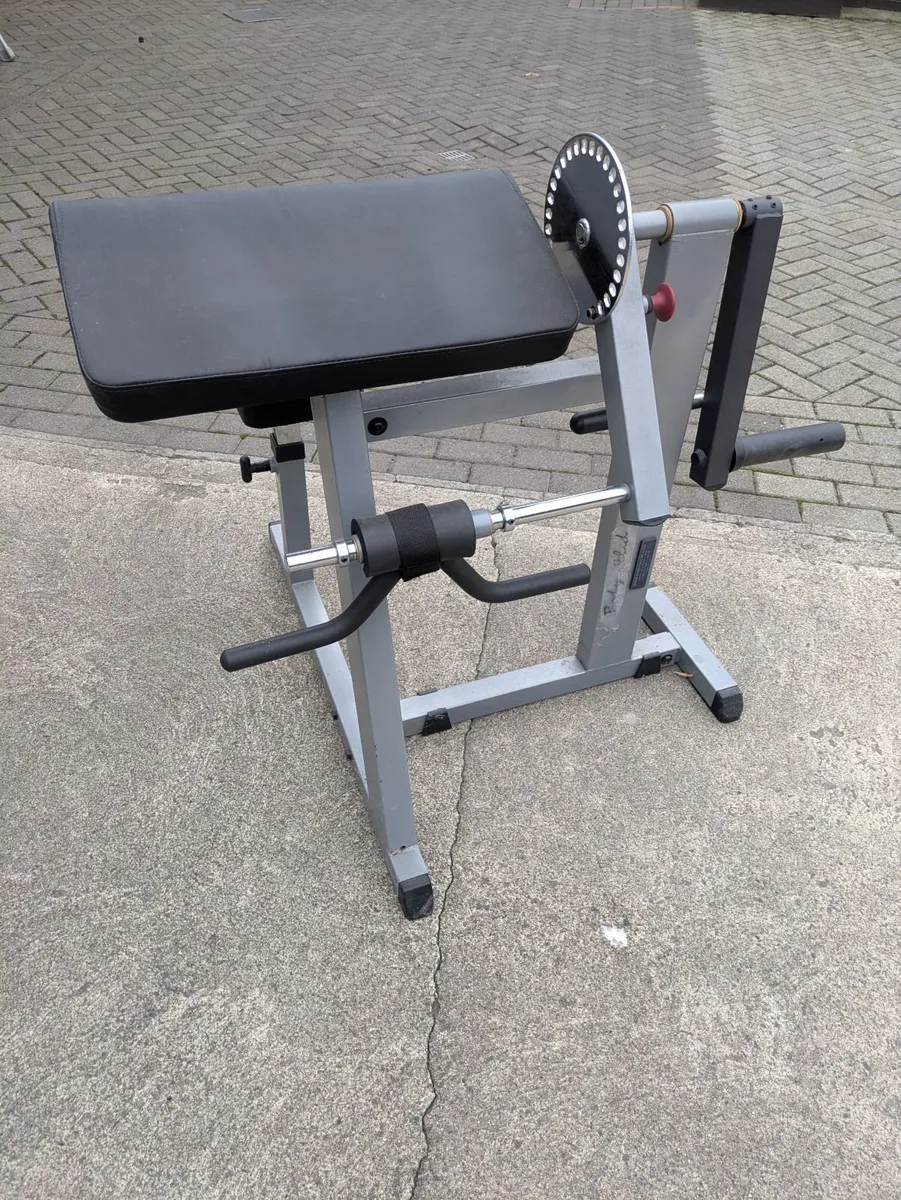 Bicep Tricep machine - Image 2
