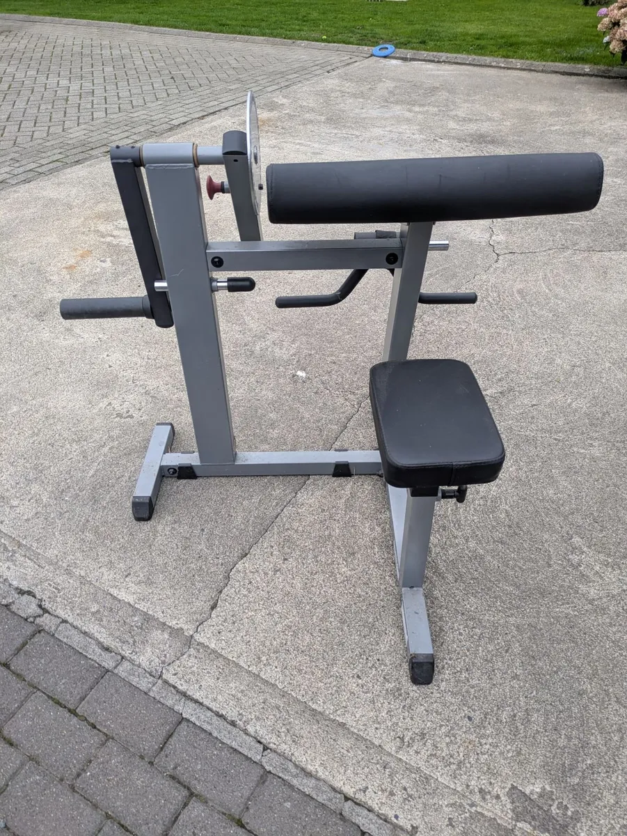 Bicep Tricep machine - Image 3
