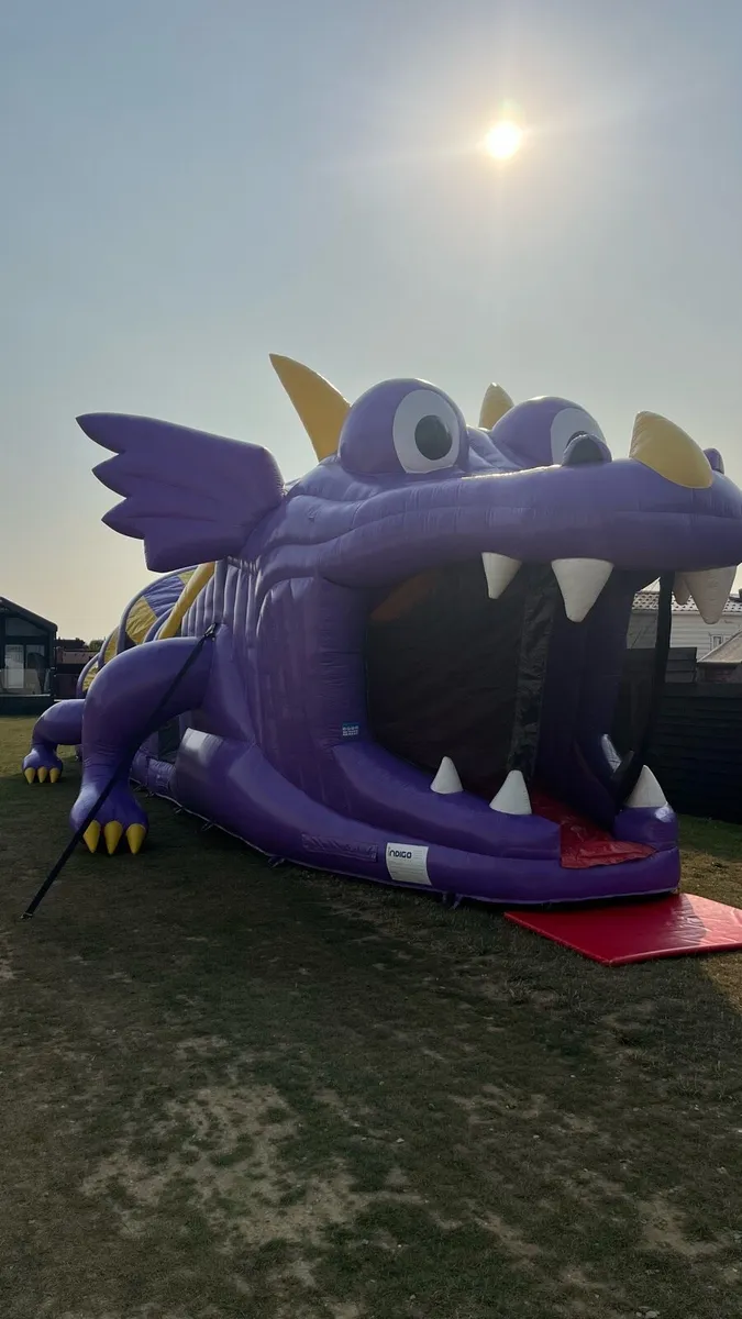 Bouncy castles & games - Image 4