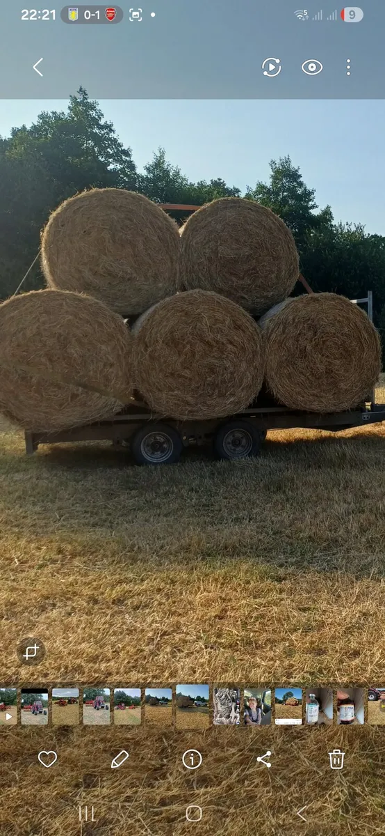 Hay - Image 2
