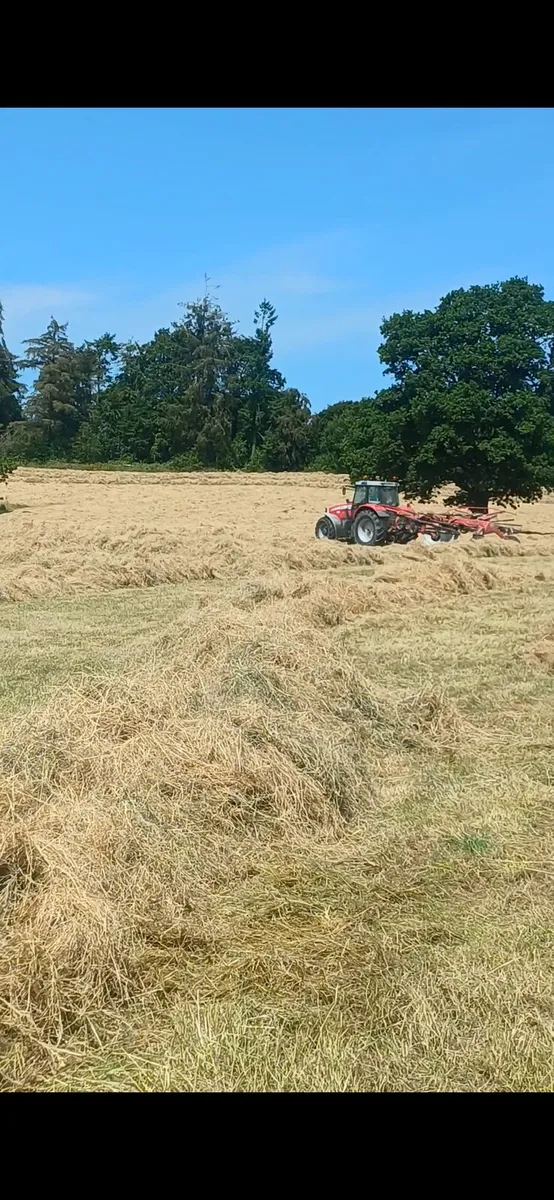 Hay - Image 3