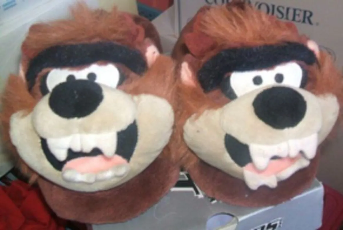 Slippers - Image 1