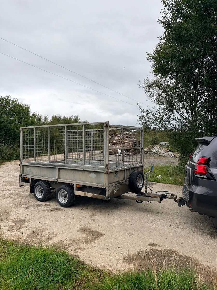 10ft x 5ft6 caged trailer - Image 1