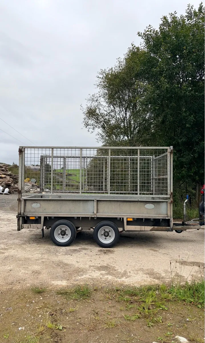 10ft x 5ft6 caged trailer - Image 2