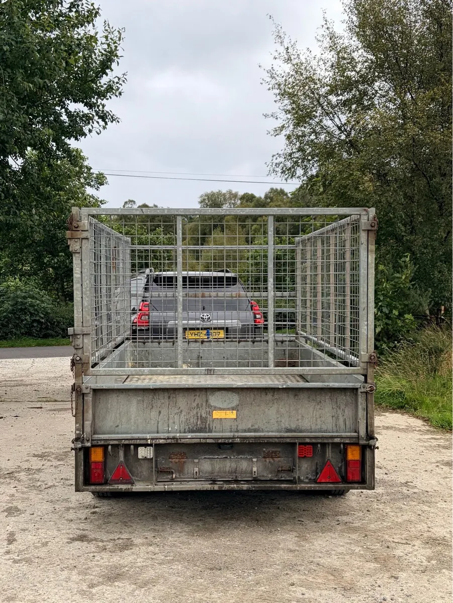 10ft x 5ft6 caged trailer - Image 3