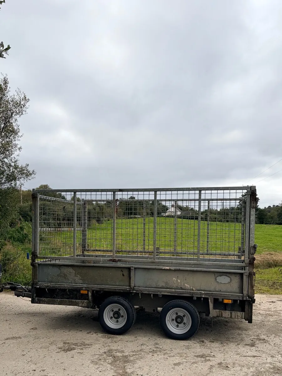 10ft x 5ft6 caged trailer - Image 4